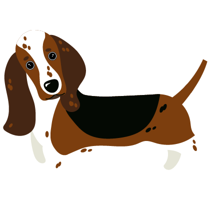 basset-hound